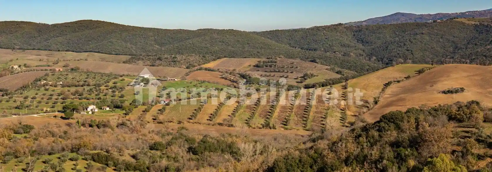 Rustico - Casale in vendita a Magliano in Toscana