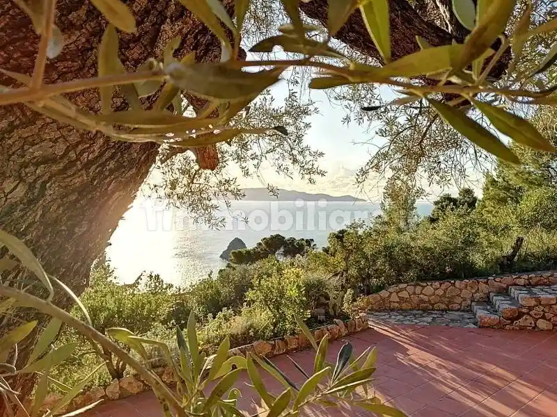 Rustico - Casale in affitto a Monte Argentario