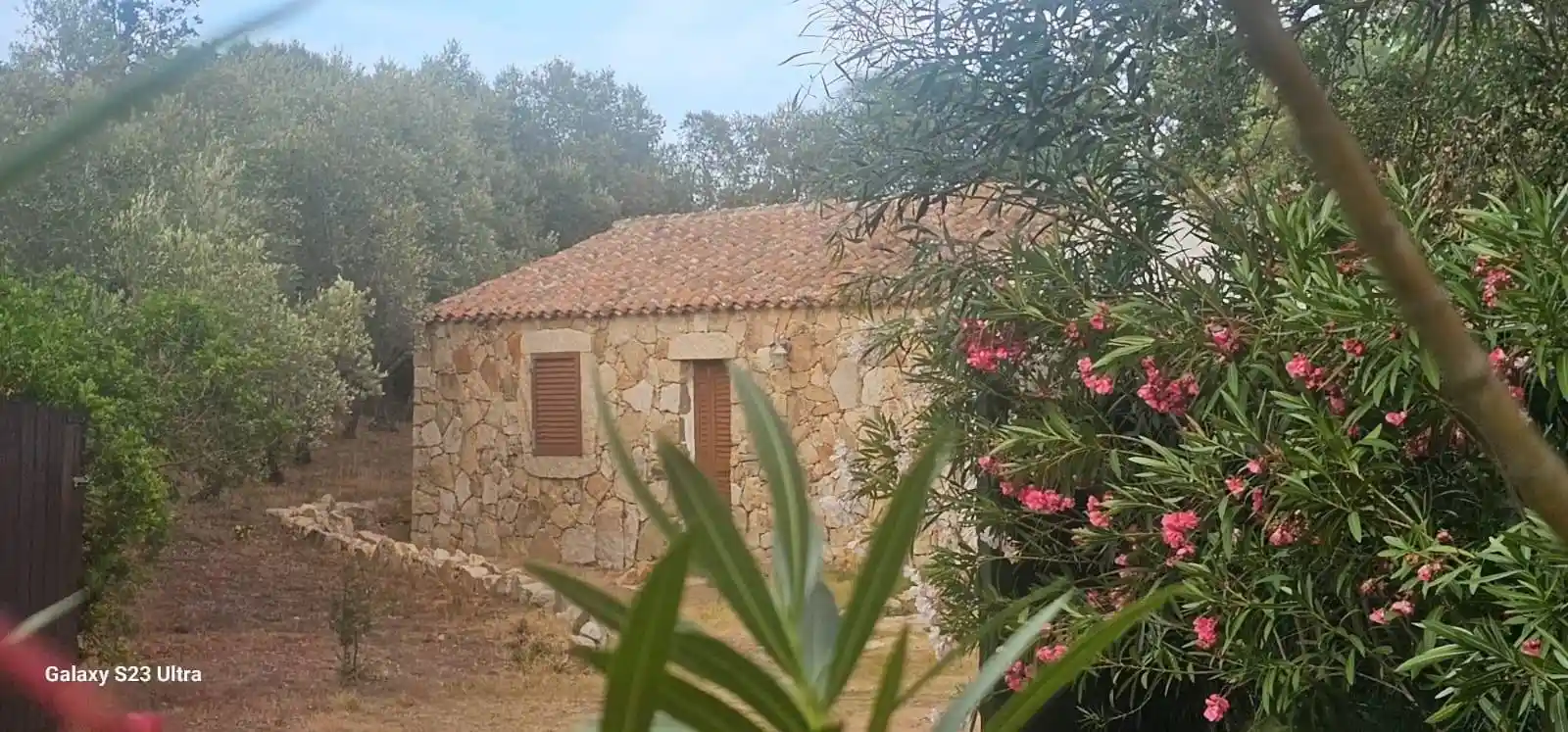 Villa unifamiliare via delle Ortensie 50, Murta Maria, Porto Istana, Olbia - foto 4