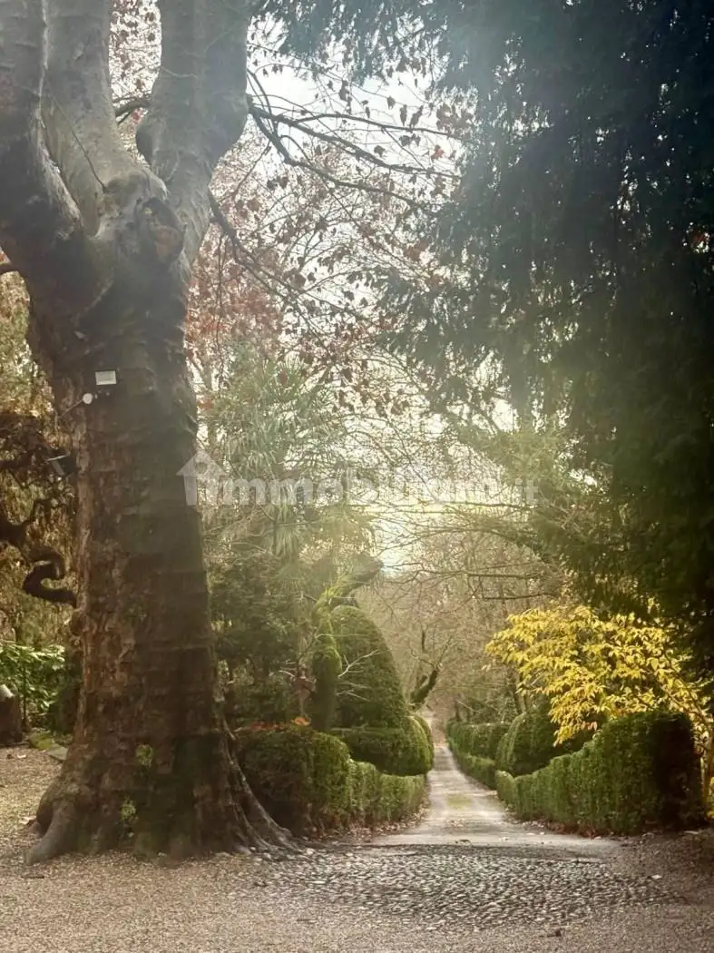 Appartamento in affitto a Moncalieri