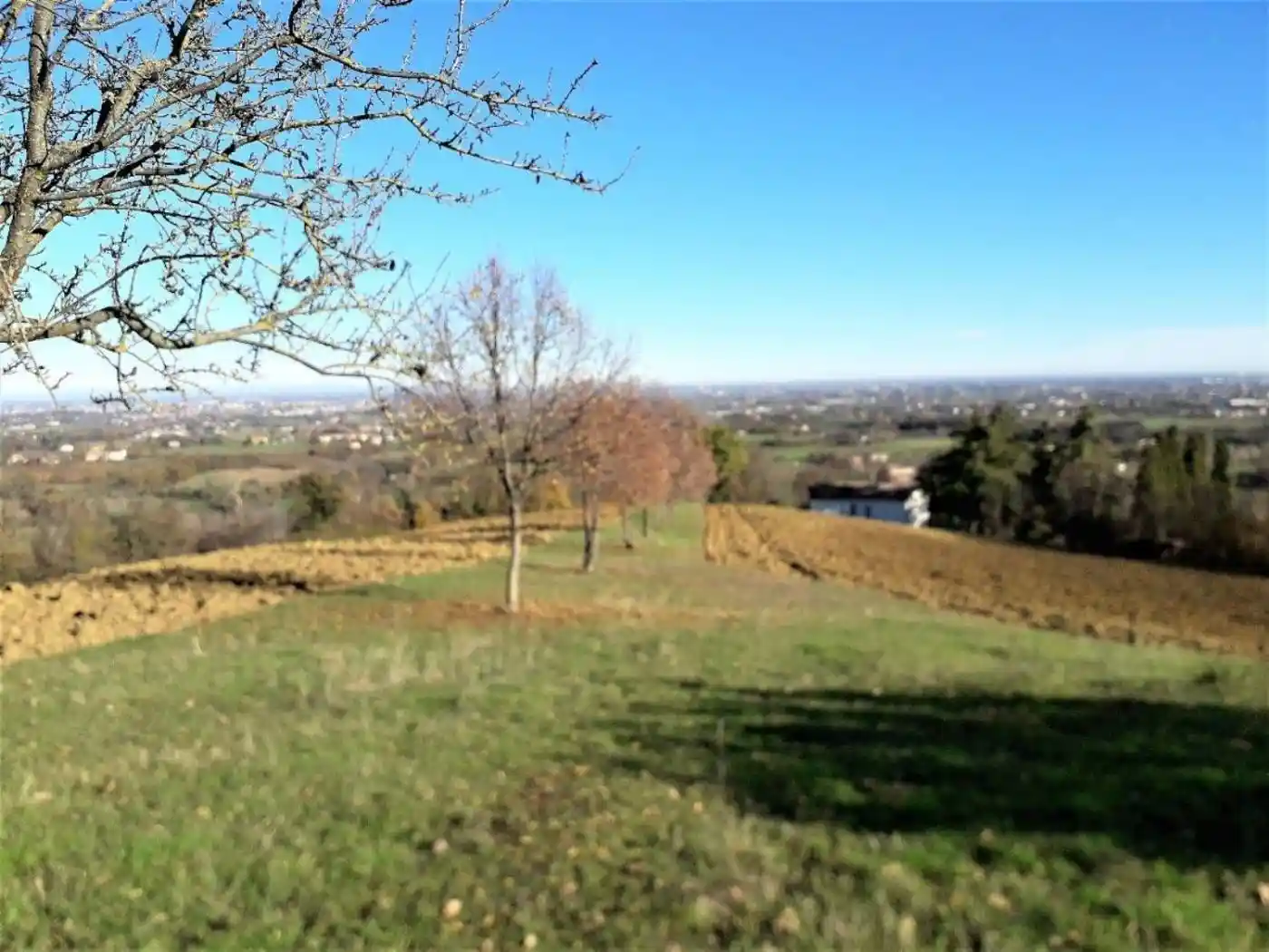 Casa indipendente in vendita a Albinea