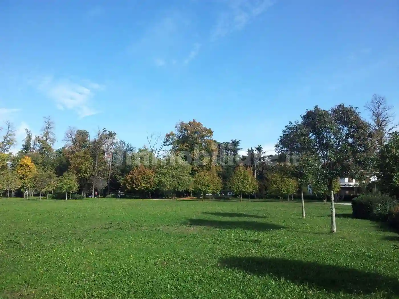 Palazzo - Edificio - foto 5