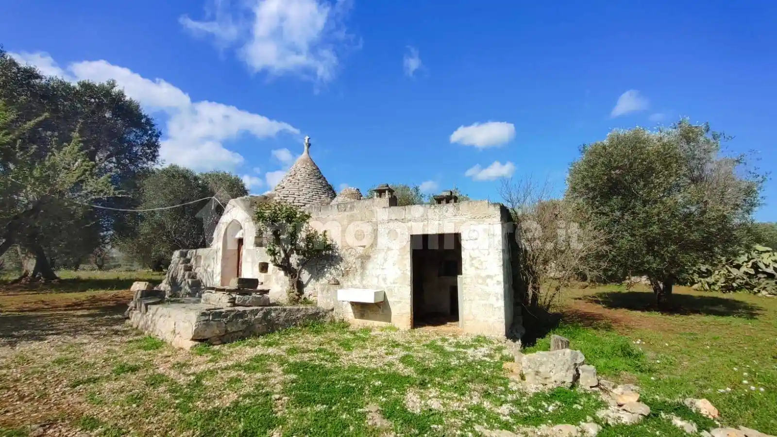 Rustico - Casale in vendita a Ceglie Messapica
