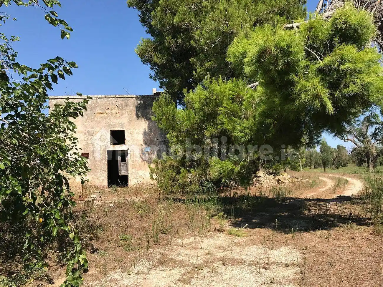 Rustico - Casale in vendita a Squinzano