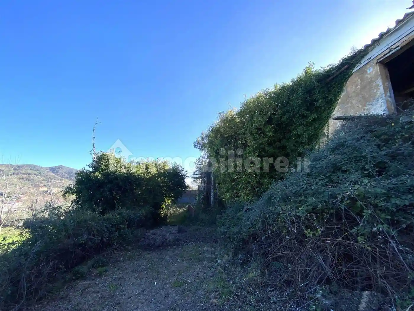 Rustico, da ristrutturare, 370 m², Siano - Cava, Catanzaro - foto 3
