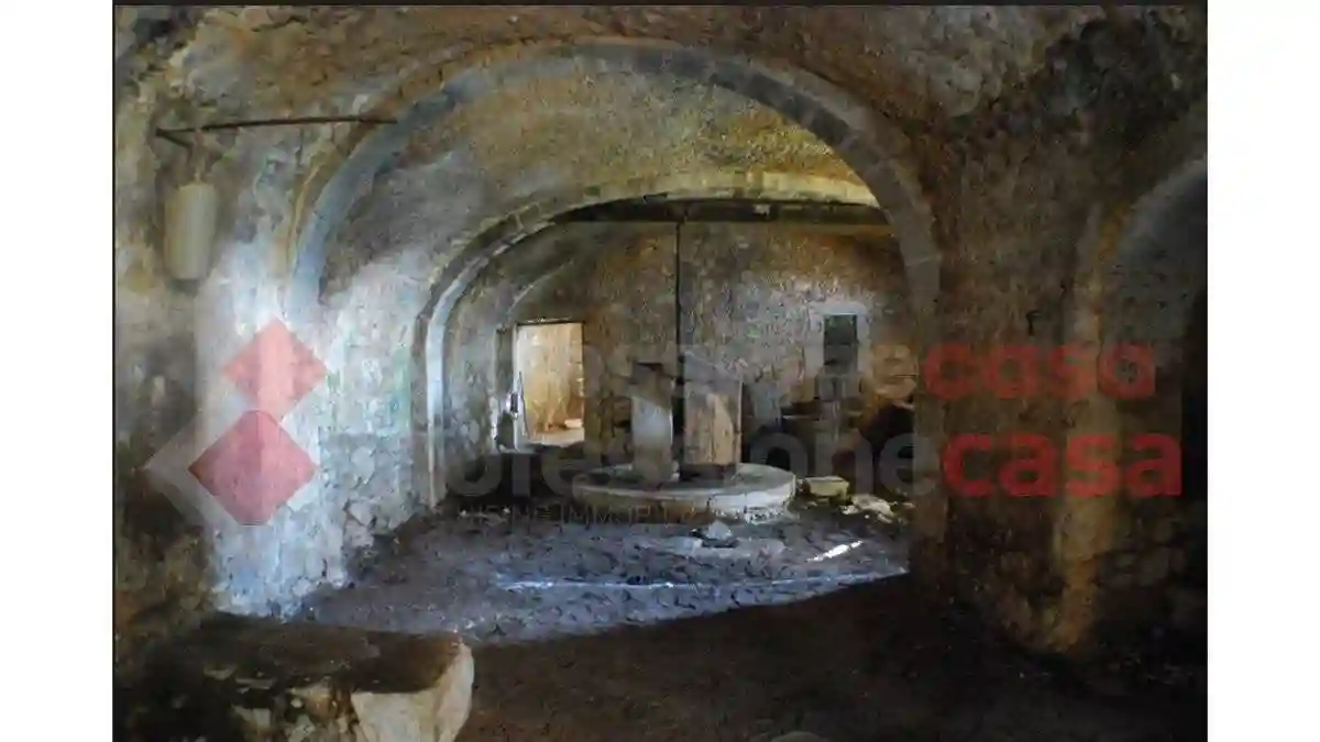 Palazzo - Edificio - foto 4