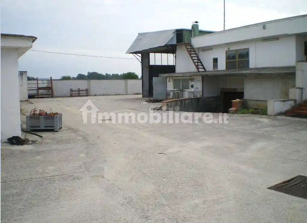 Villa unifamiliare Strada Petrimerco 1089, Borgo Grappa, Latina - foto 3