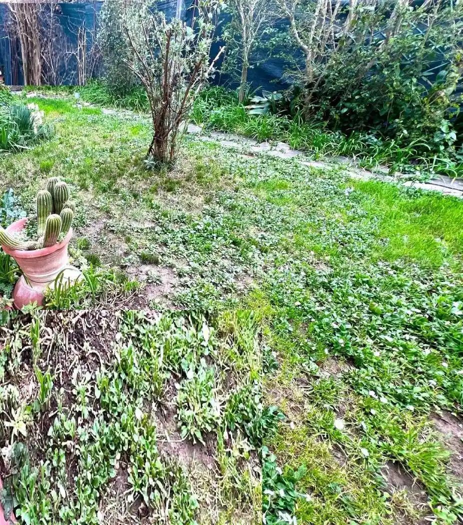 Appartamento in vendita a Montelupo Fiorentino
