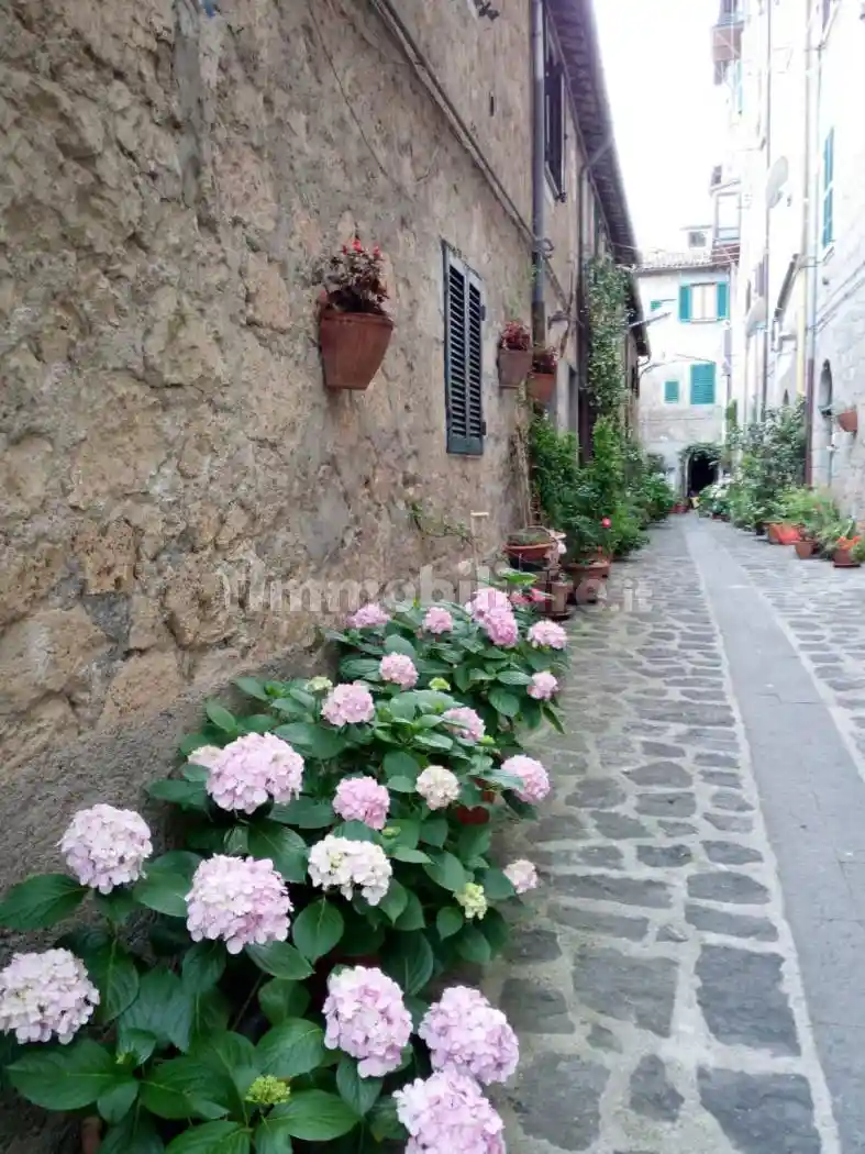 Appartamento in vendita a Grotte di Castro