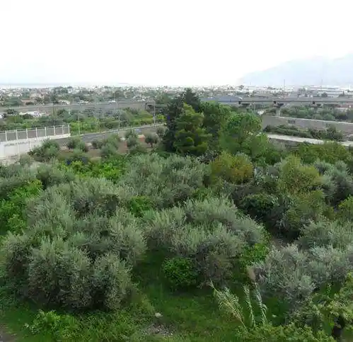 Quadrilocale corso Italia, Fondo Dominici, Carini - foto 4