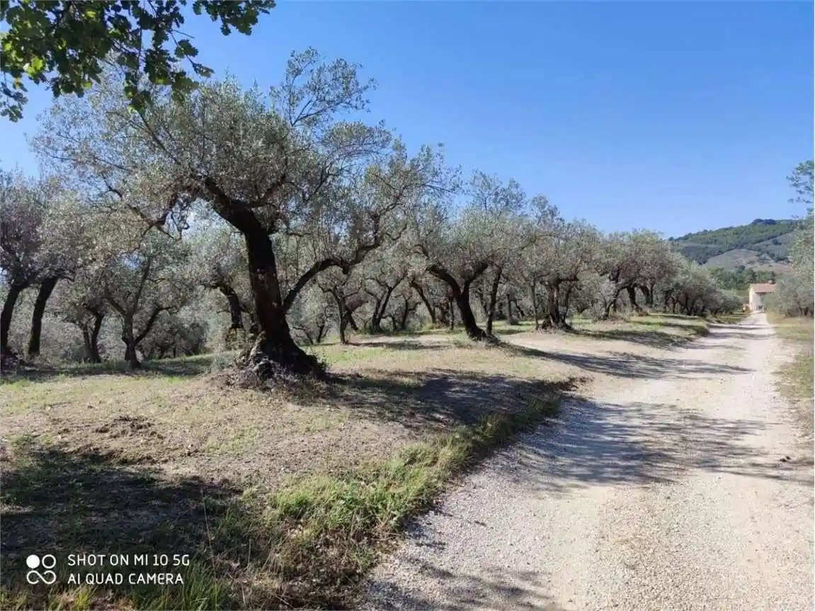 Villa in vendita a Bevagna