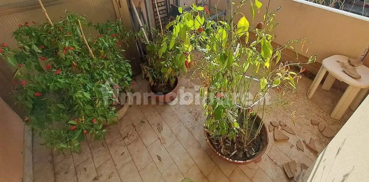 Villetta a schiera in vendita a Pesaro