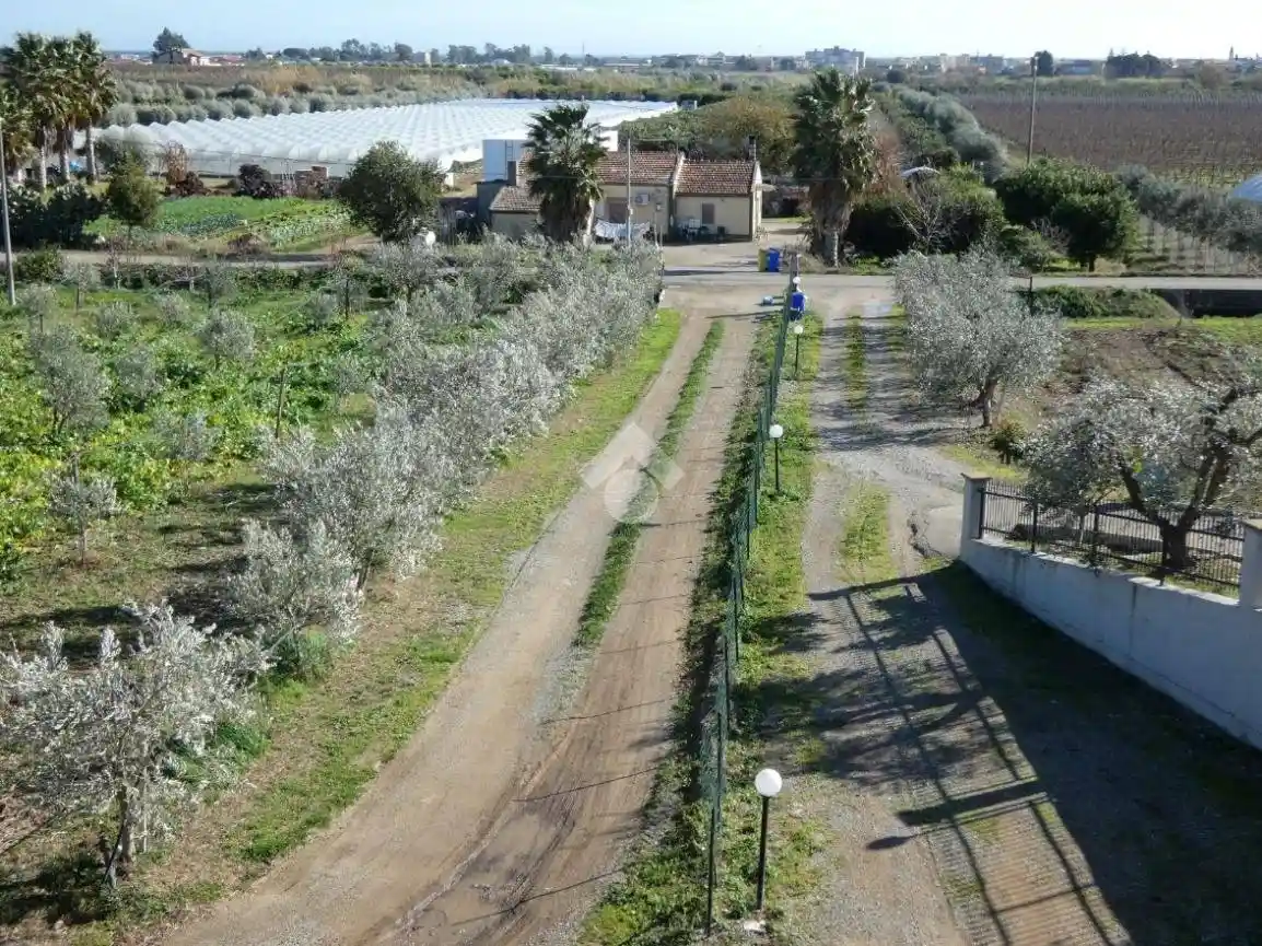 Rustico via Tagliamento, Scanzano Jonico - foto 4