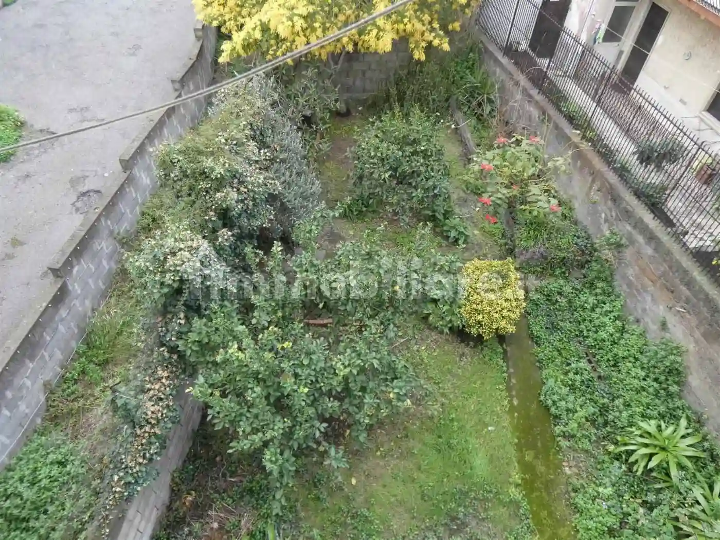 Palazzo - Edificio - foto 5