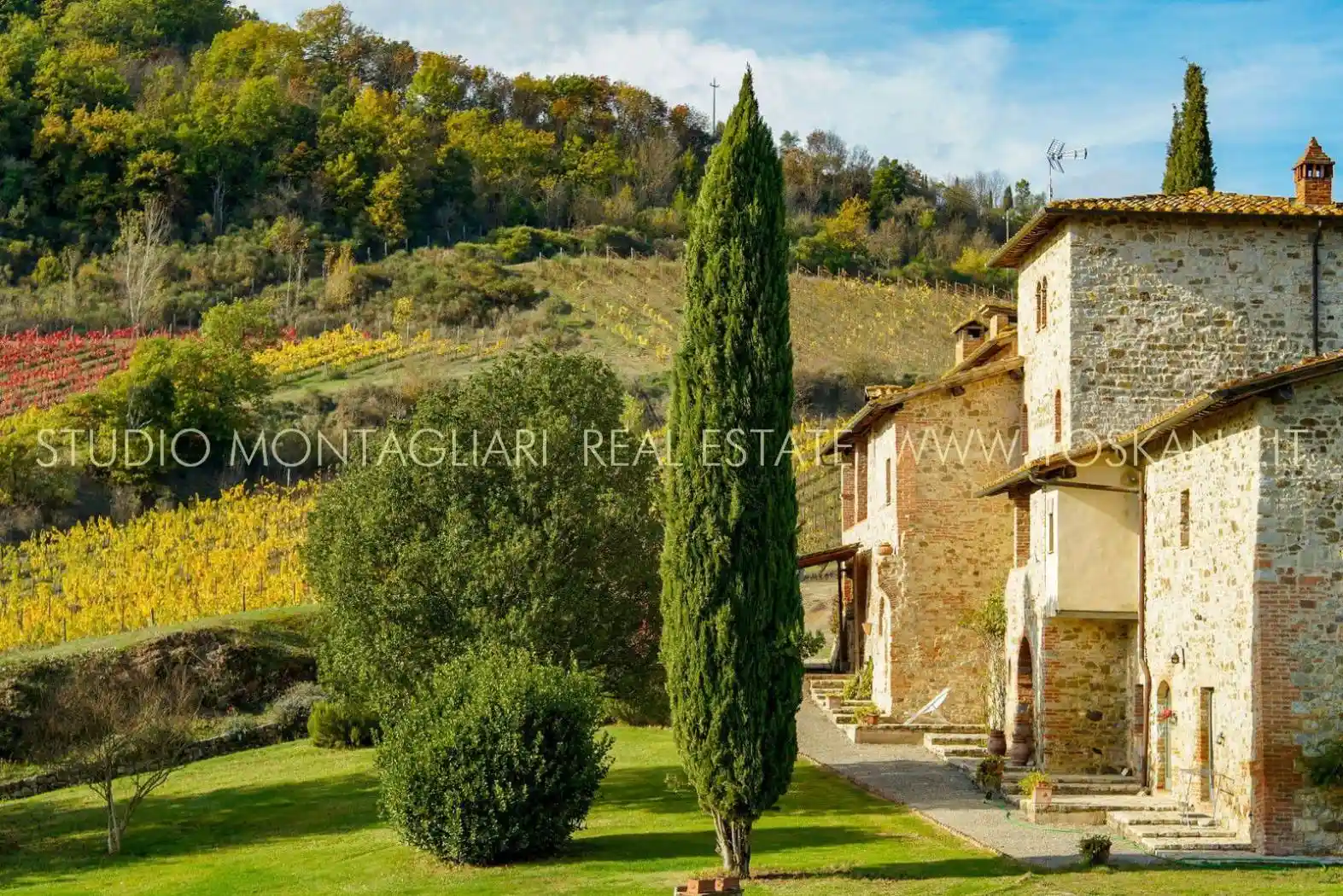 Rustico - Casale in vendita a Castelnuovo Berardenga