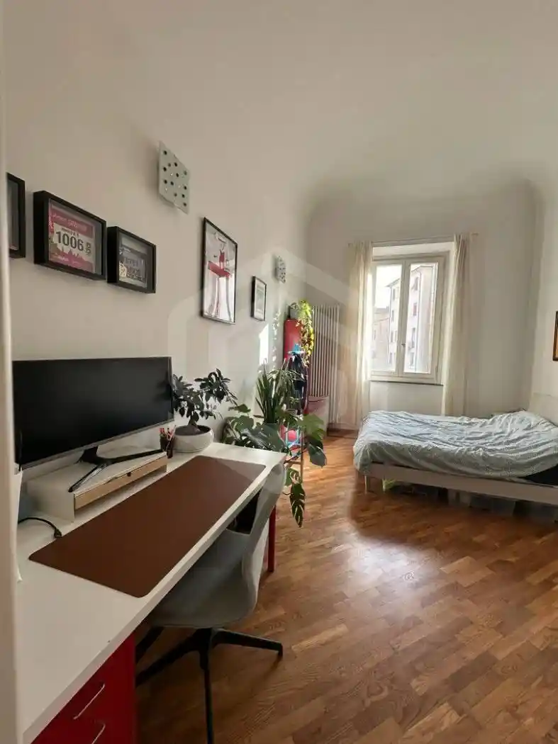 Appartamento in affitto a Pisa