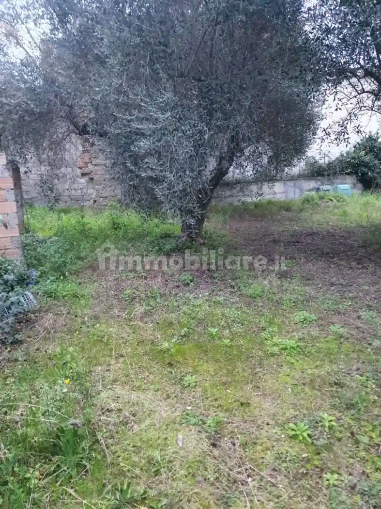 Villa in vendita a Roma