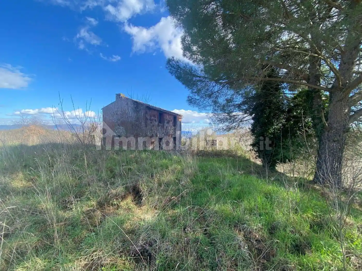Rustico - Casale in vendita a Bagnoregio