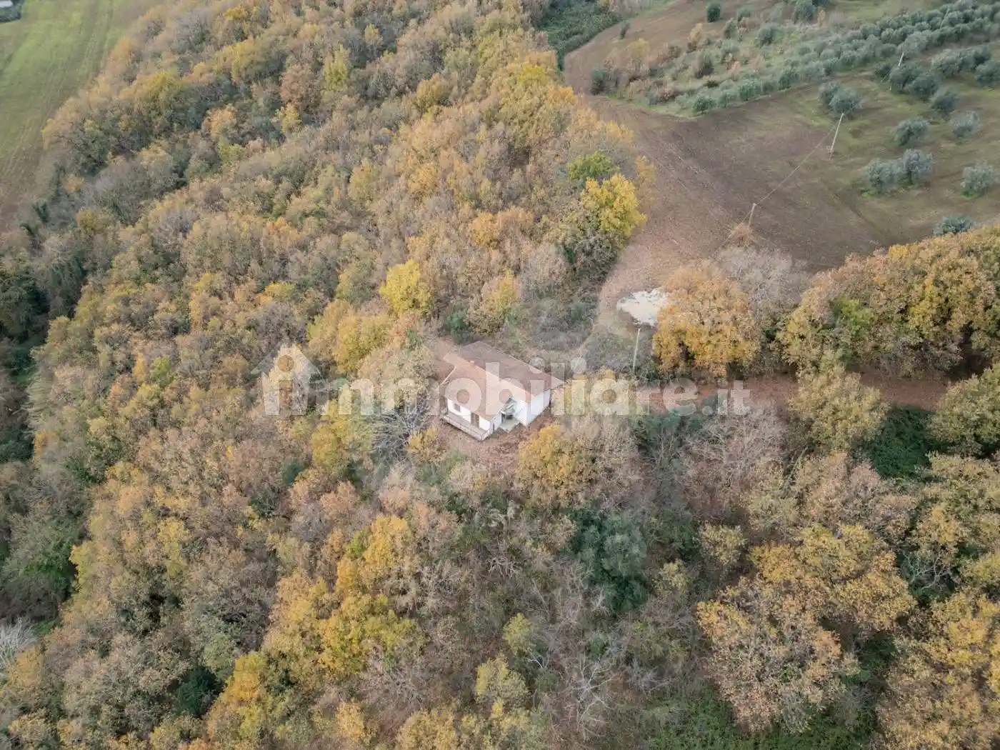 Casa colonica strada statale, Calvi - foto 4