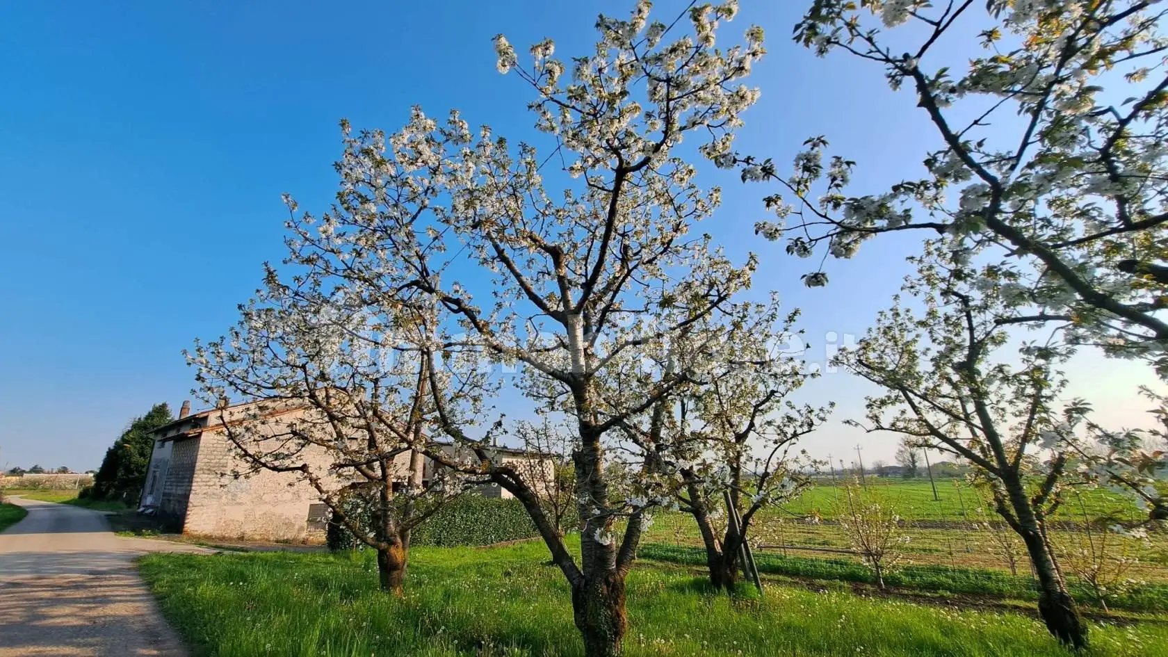 Rustico - Casale in vendita a Colceresa