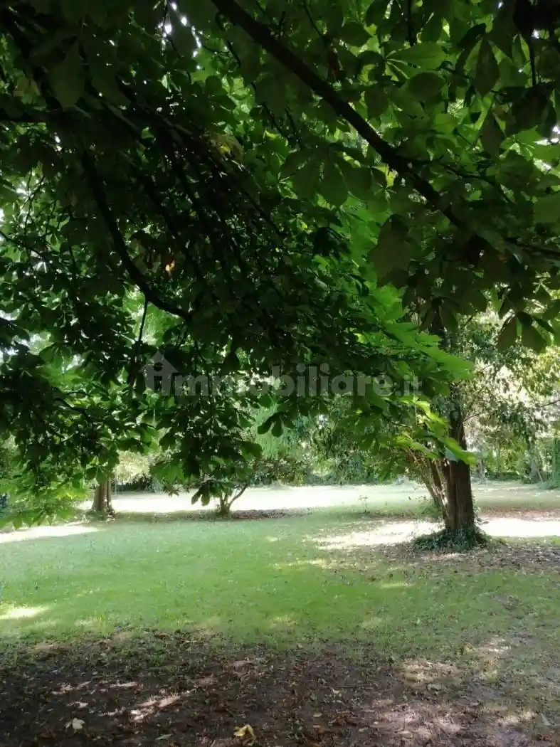 Villa unifamiliare, buono stato, 300 m², Castellana, Scorzè - foto 2