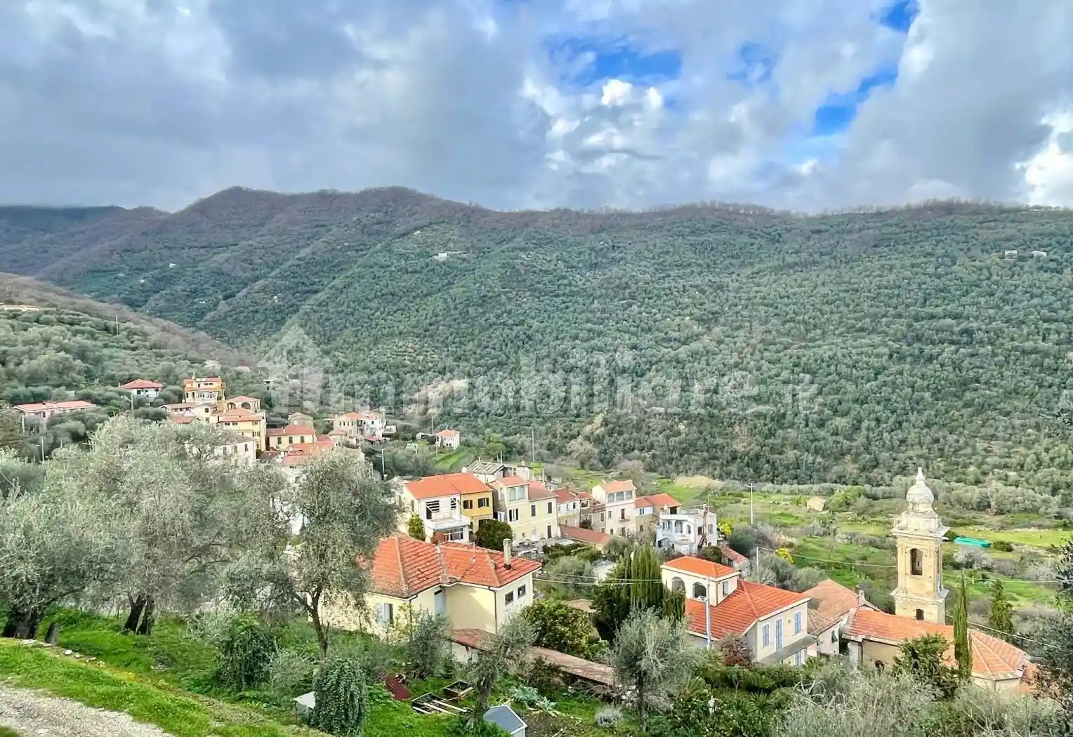 Appartamento in affitto a Dolcedo