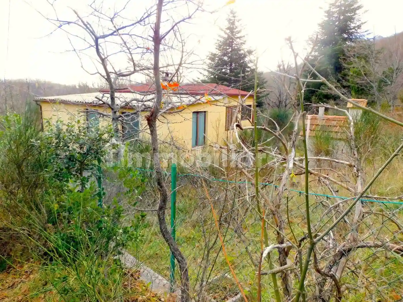 Rustico - Casale - foto 3