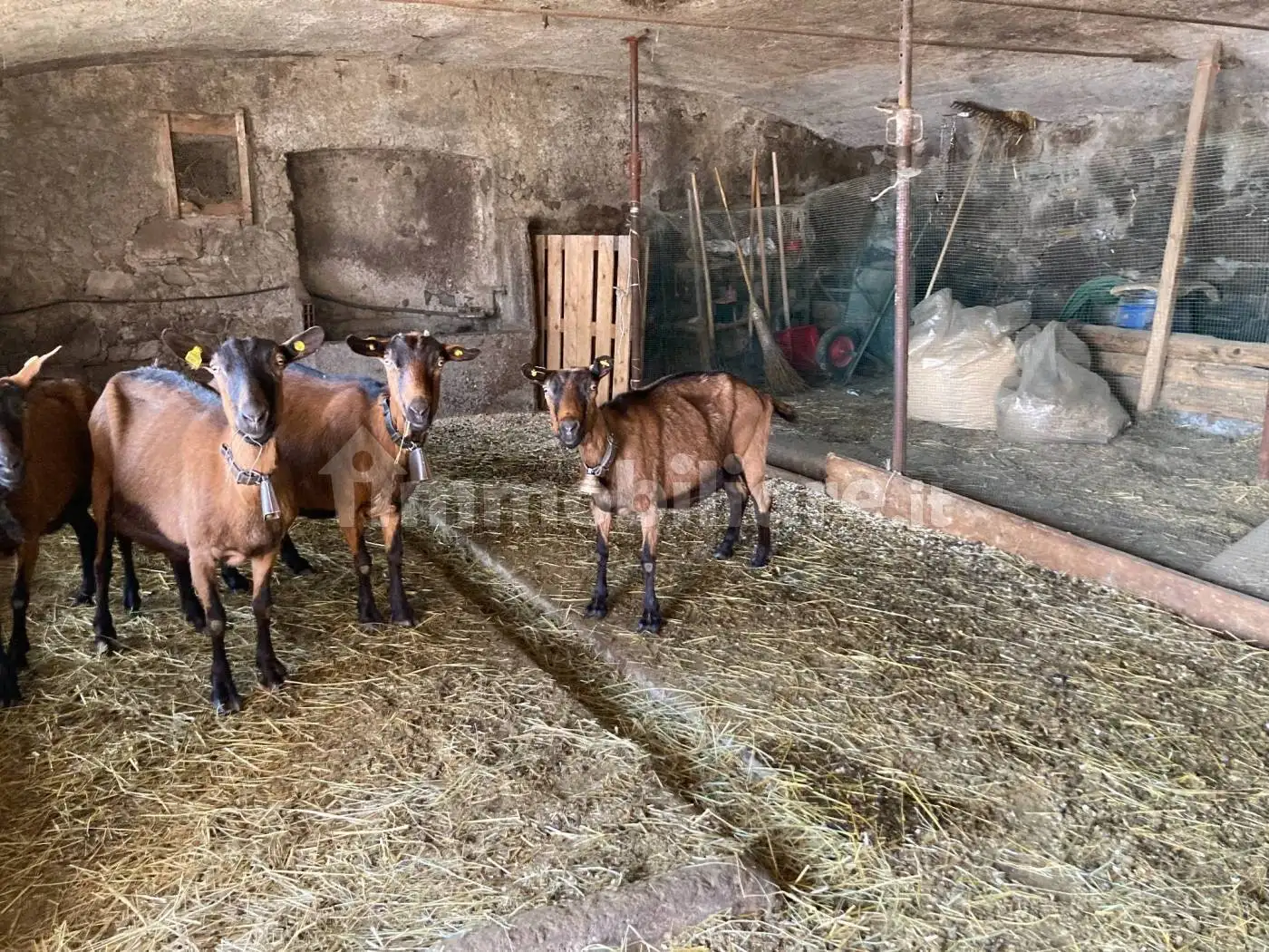 Casale via Fratelli Gamba, Dossena - foto 3