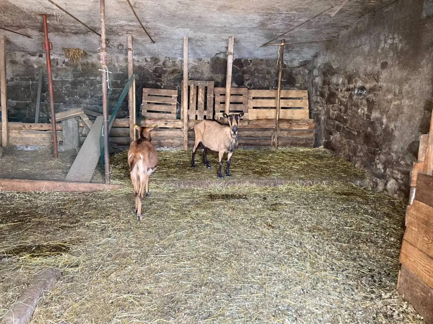 Casale via Fratelli Gamba, Dossena - foto 4