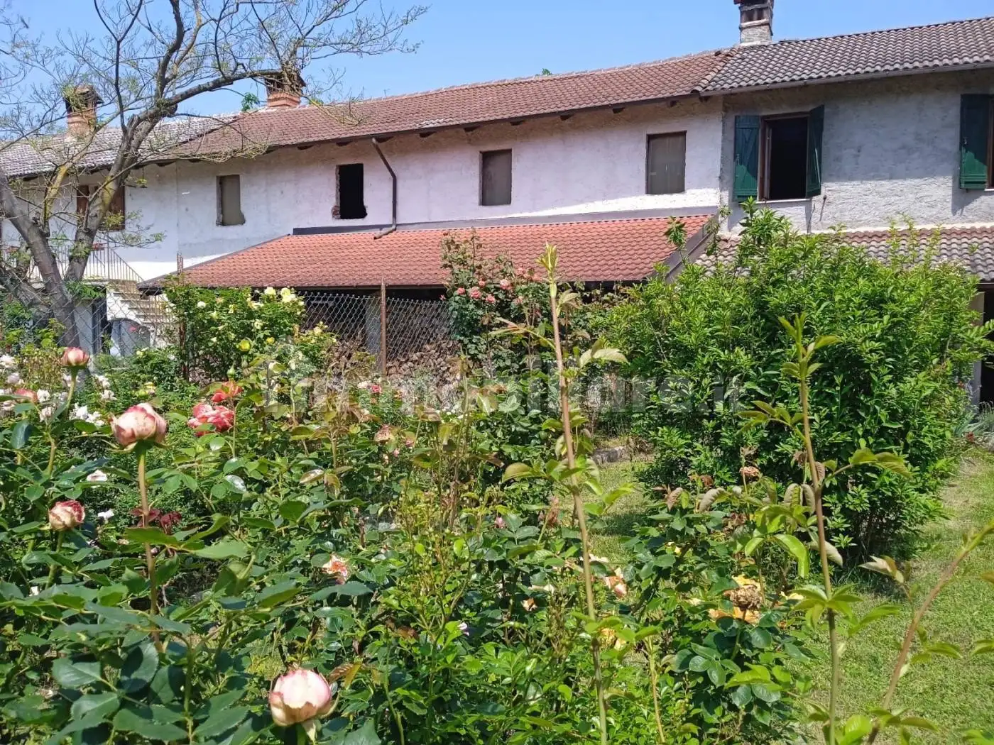 Casa indipendente in vendita a Silvano d'Orba