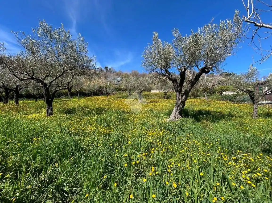 Terratetto plurifamiliare Contrata Annunziata 133, Lamezia Terme - foto 3