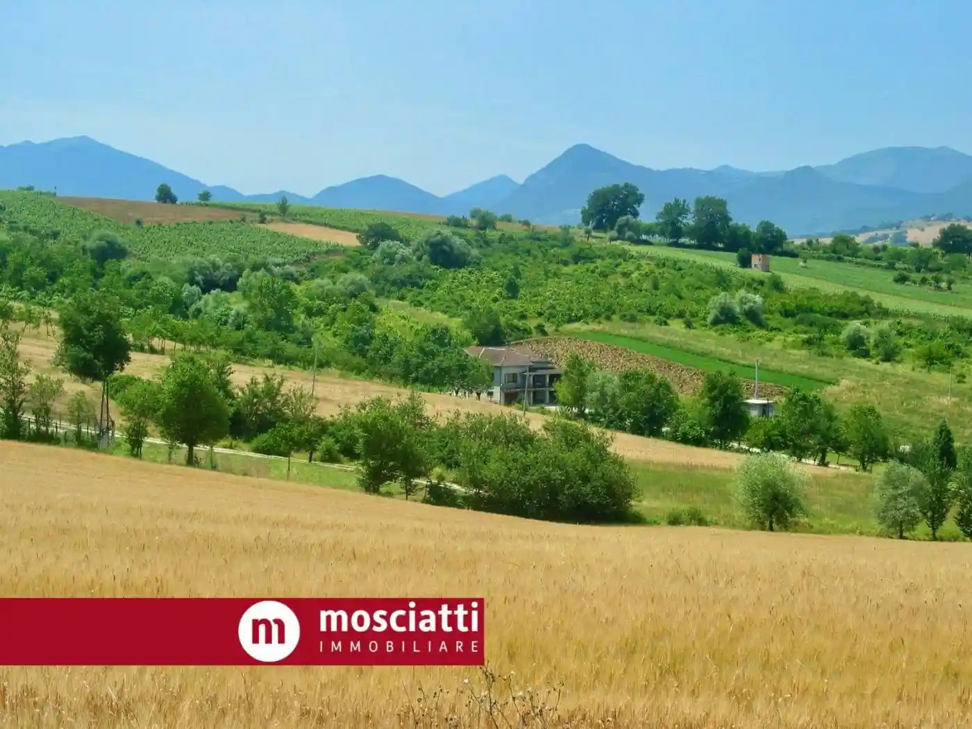 Rustico - Casale in vendita a Cerreto d'Esi