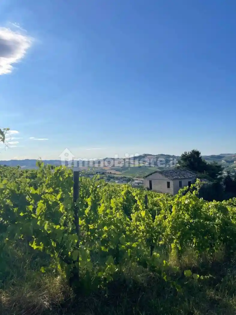 Rustico - Casale in vendita a Offida