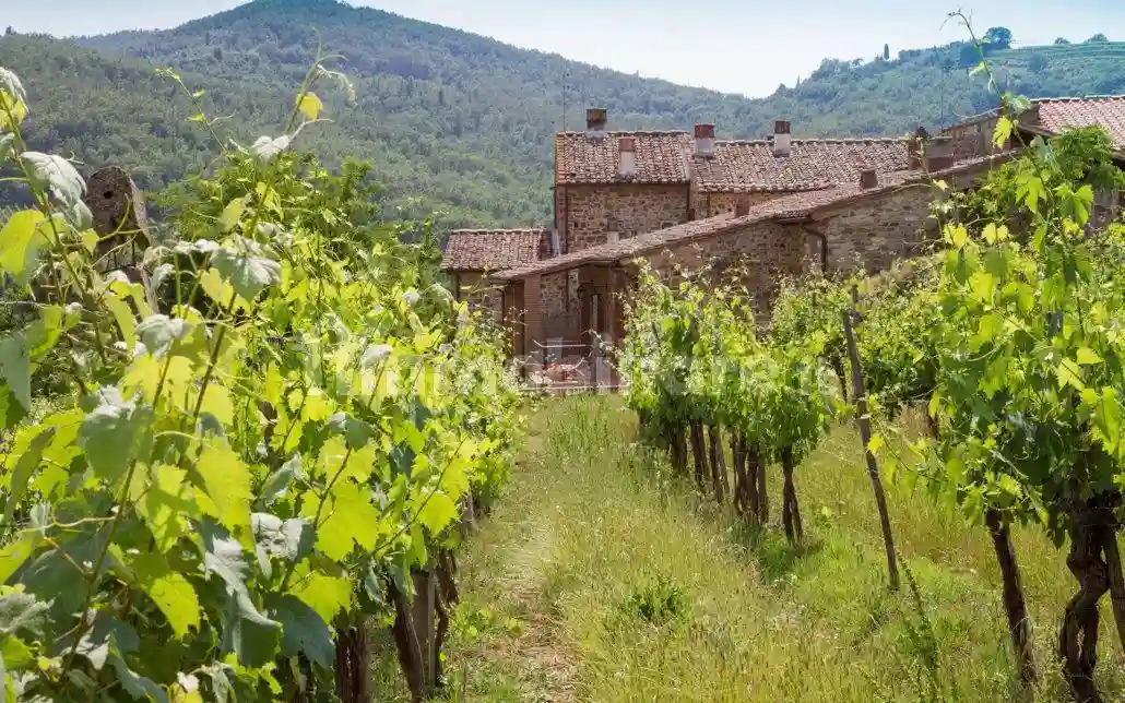 Rustico - Casale - foto 3