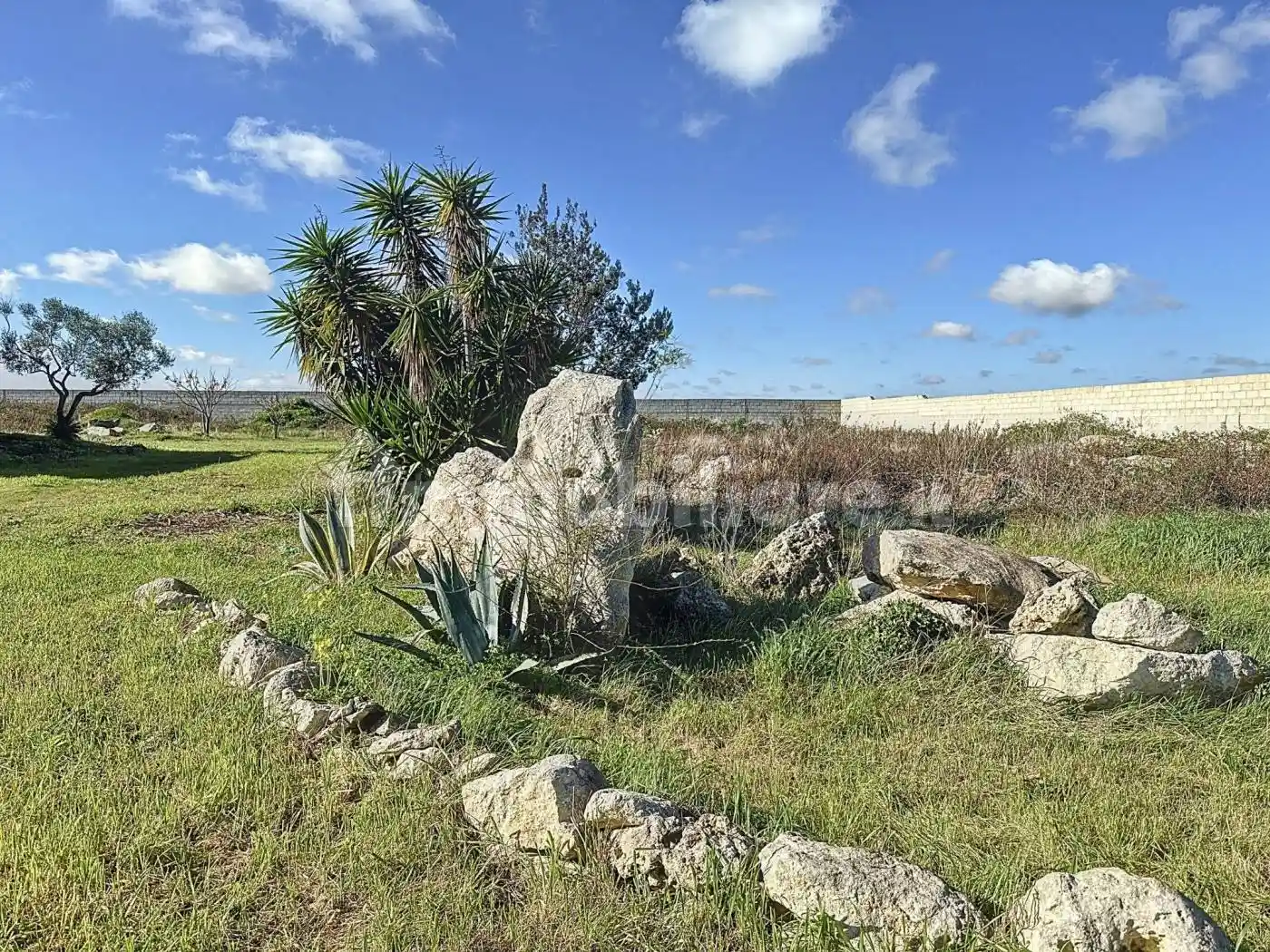 Villa unifamiliare Sp94, Caracci, Lecce - foto 3