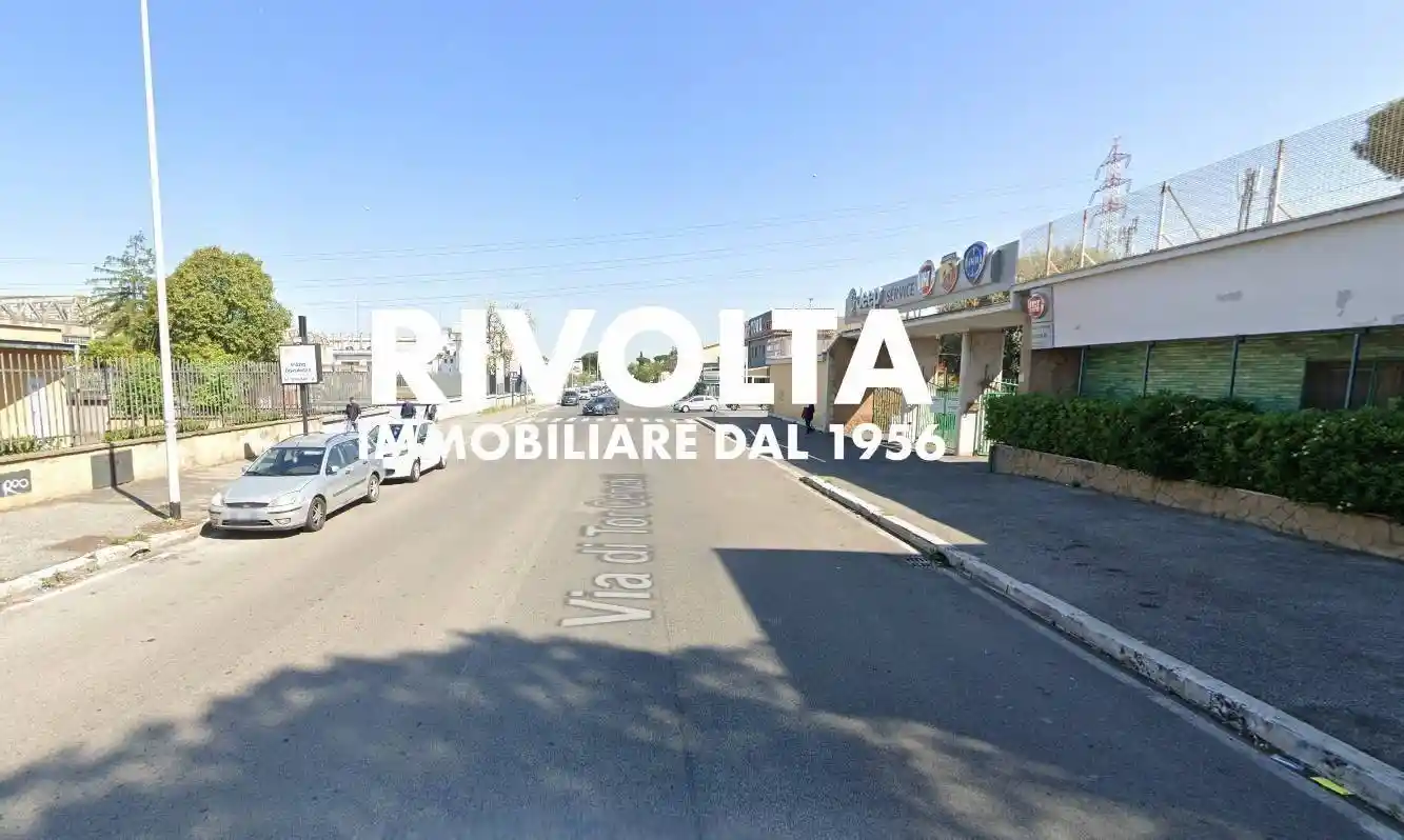 Palazzo - Edificio in Affitto - foto 5