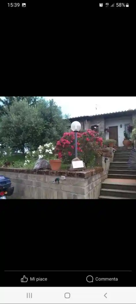 Villa in vendita a Manciano