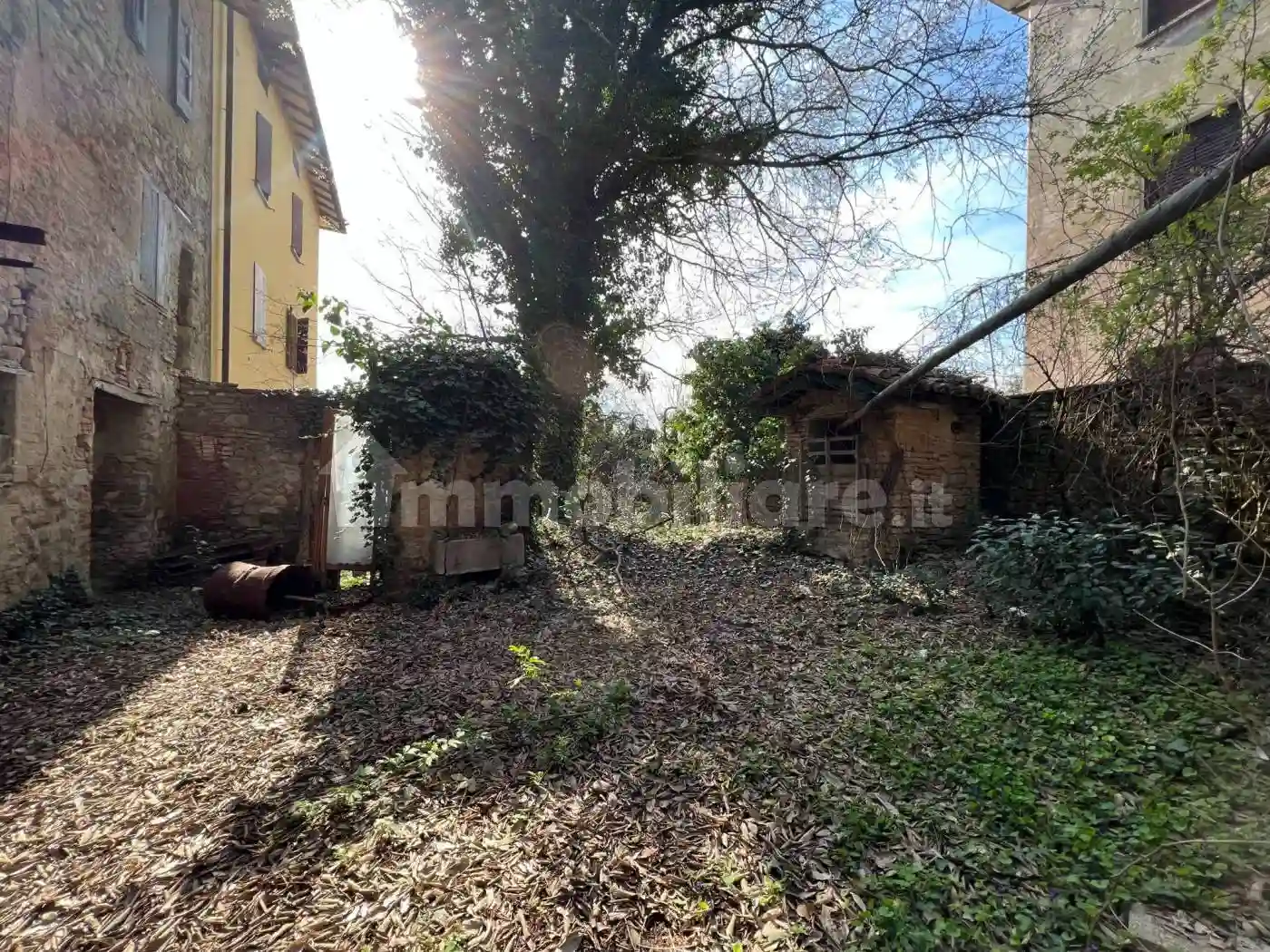 Palazzo - Edificio - foto 5