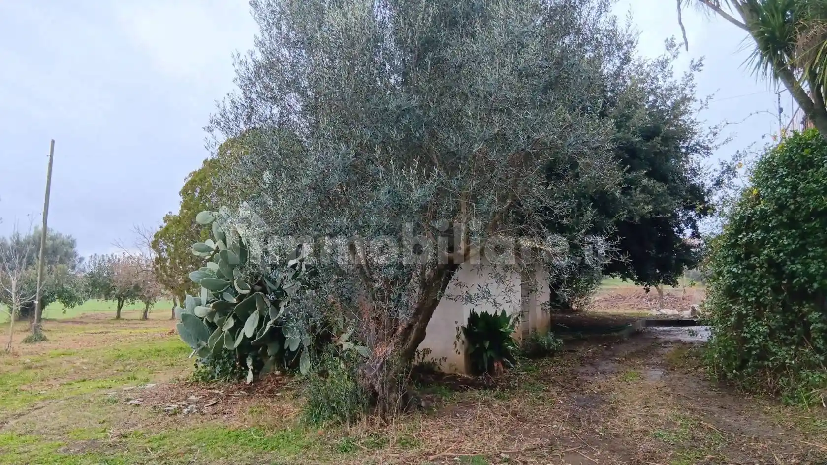Casale Strada Dogana, Monterazzano, Viterbo - foto 5