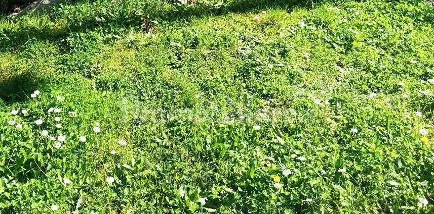 Villa in vendita a Carmignano