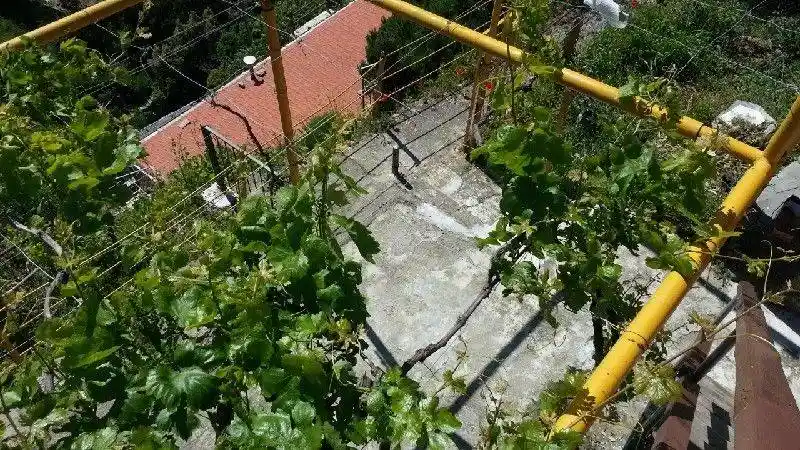 Terratetto unifamiliare 40 m², Coregna - Litoranea, La Spezia - foto 5