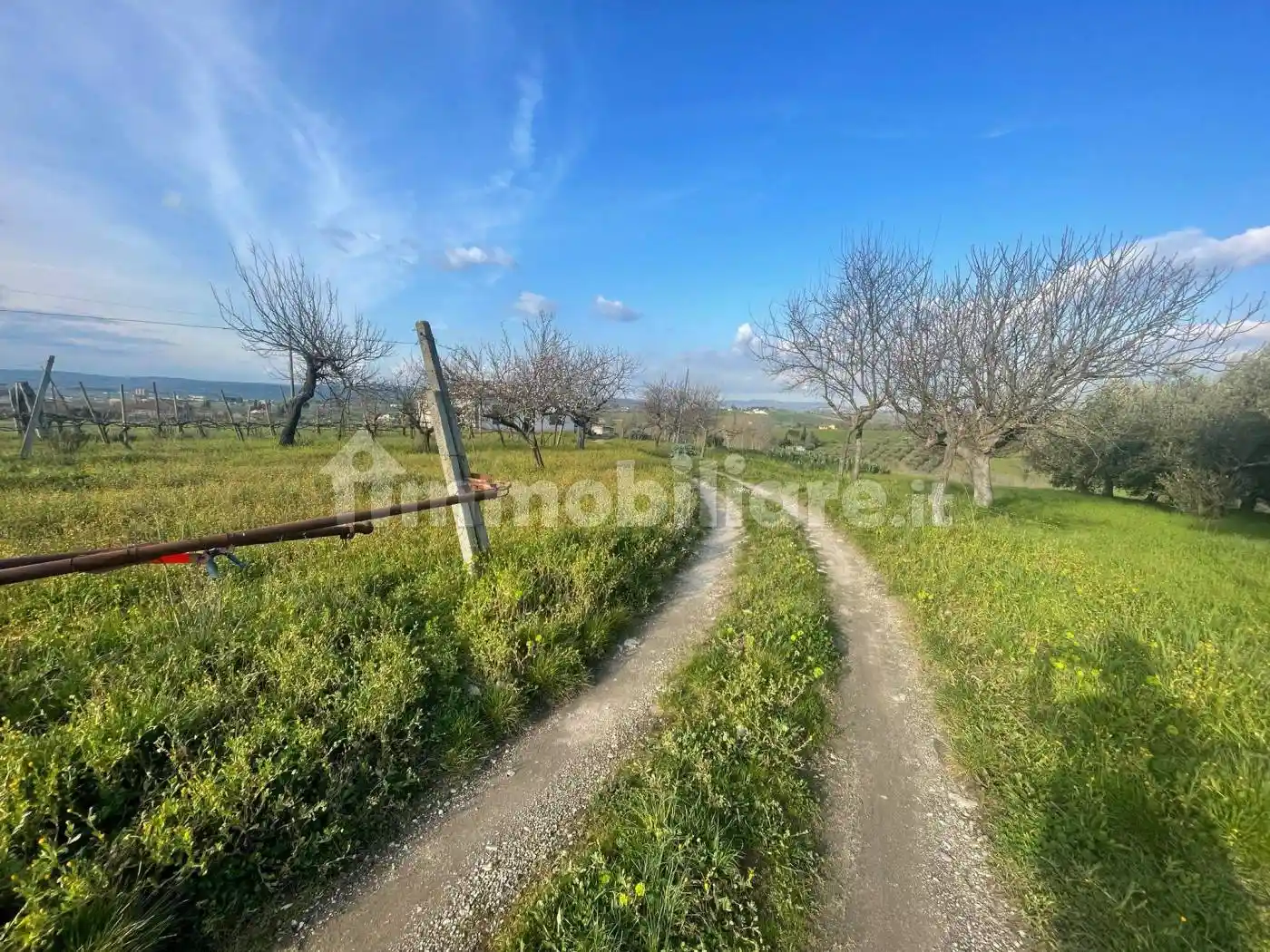 Villa unifamiliare Contrada Ponte delle Tavole, Fratelli Rosselli, San Liberatore, Benevento - foto 5