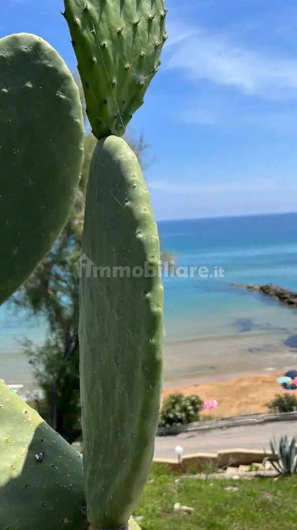 Appartamento in affitto a Isola di Capo Rizzuto
