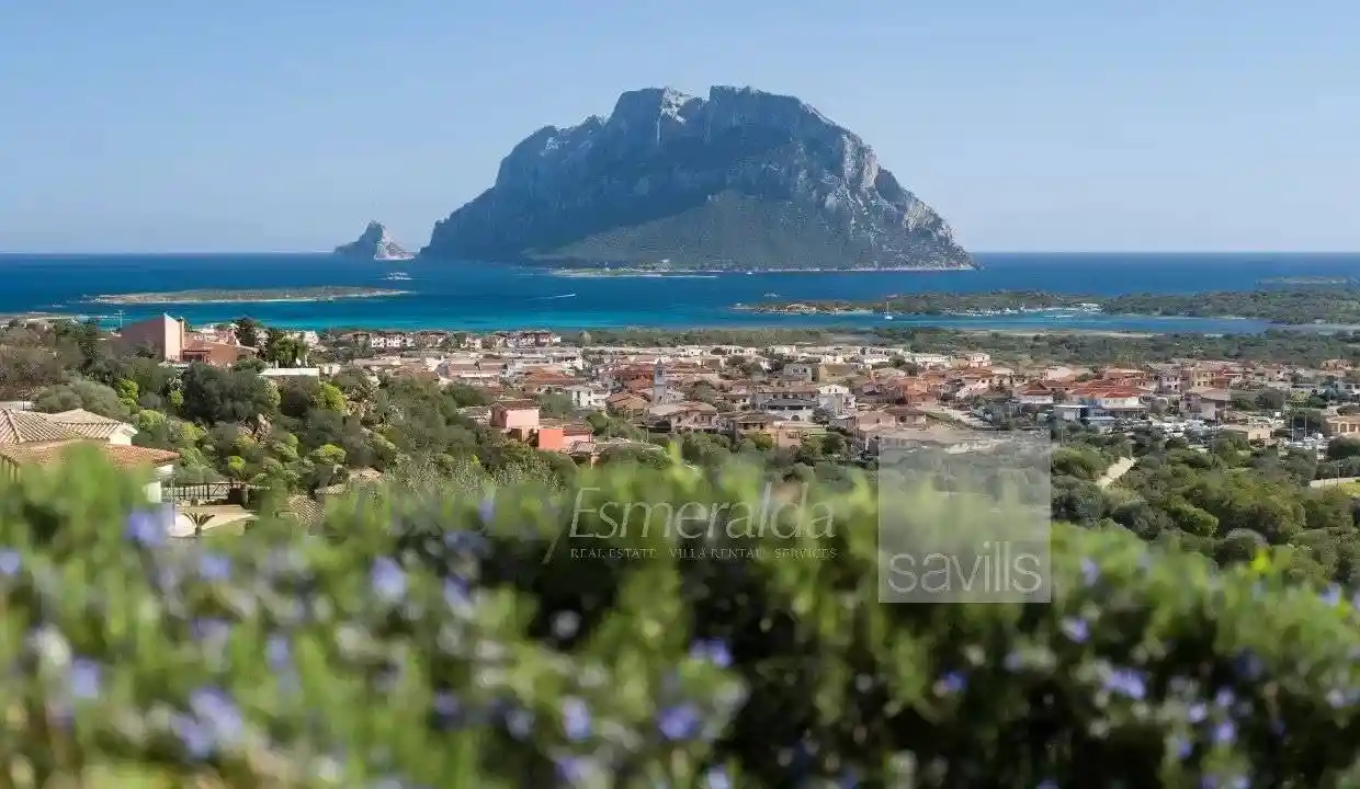 Villa in vendita a Loiri Porto San Paolo