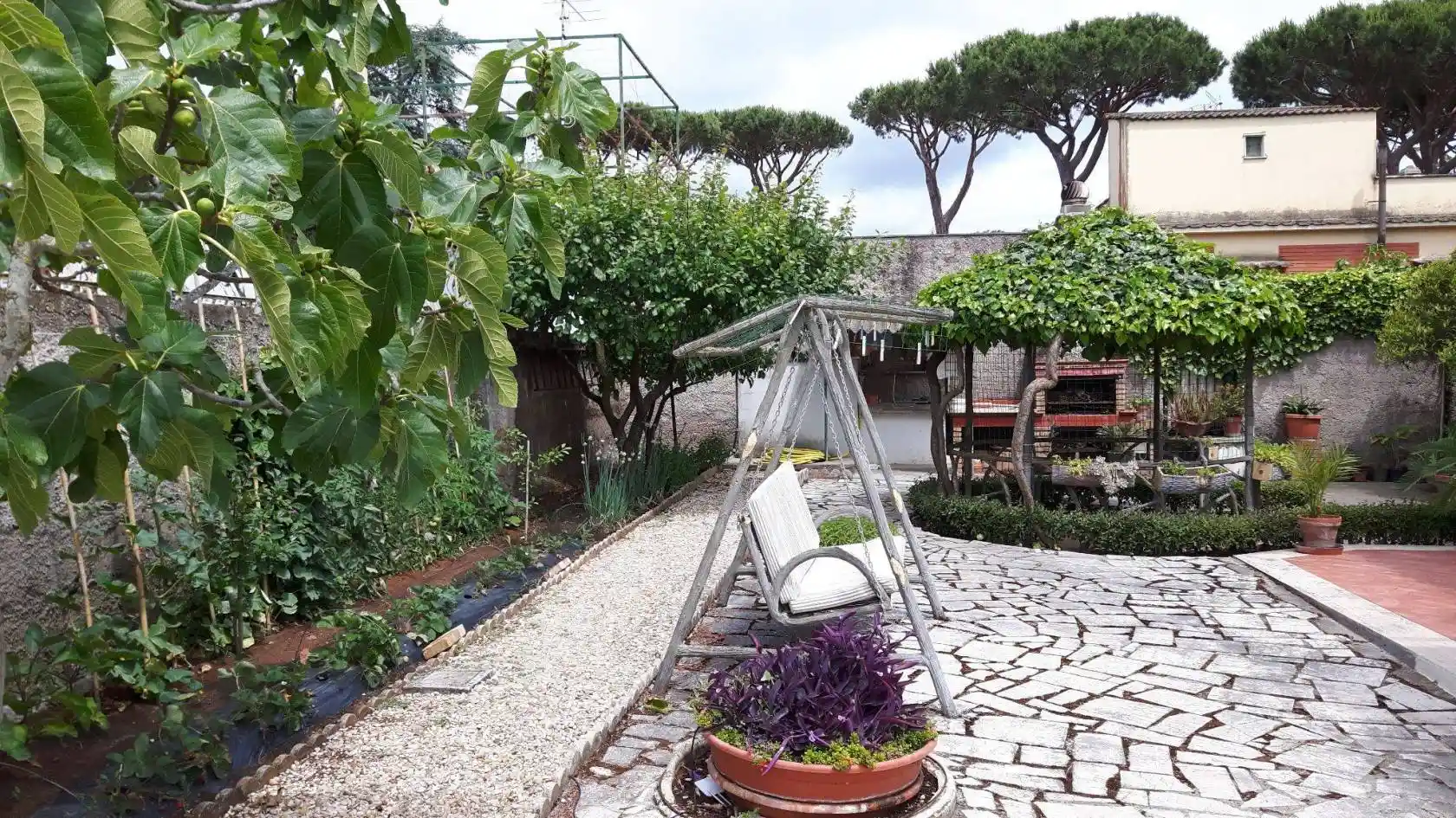 Villa in affitto a Nettuno
