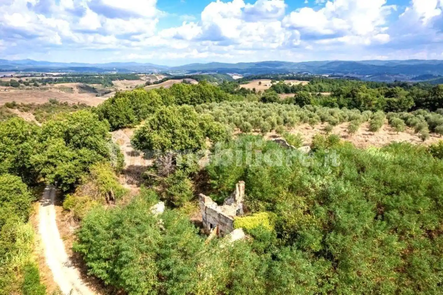 Rustico - Casale in vendita a Asciano