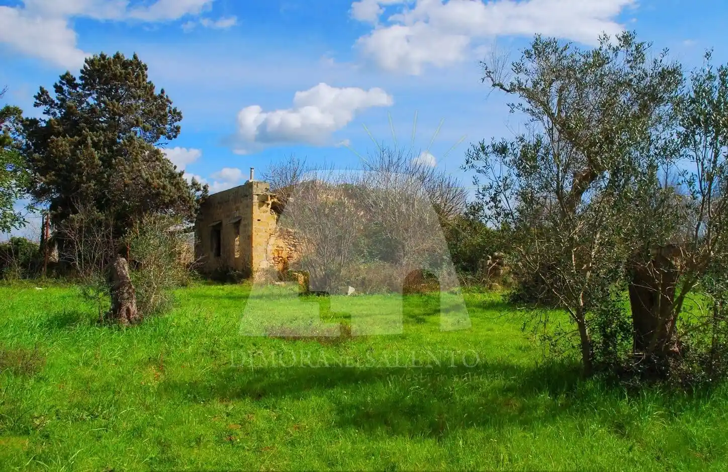 Rustico - Casale in vendita a Specchia