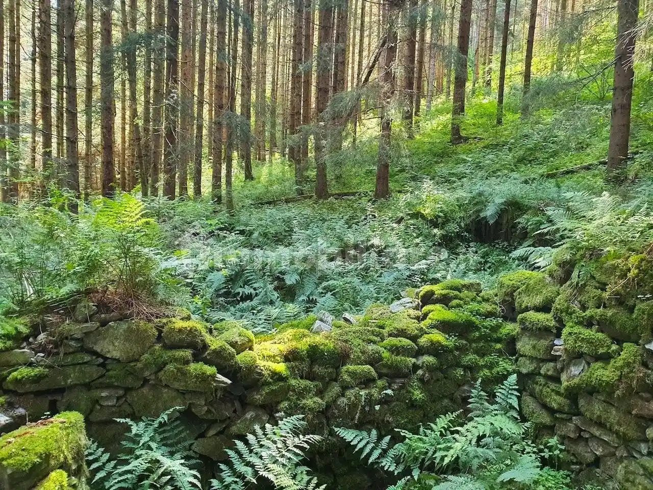 Rustico - Casale in vendita a Sella Giudicarie