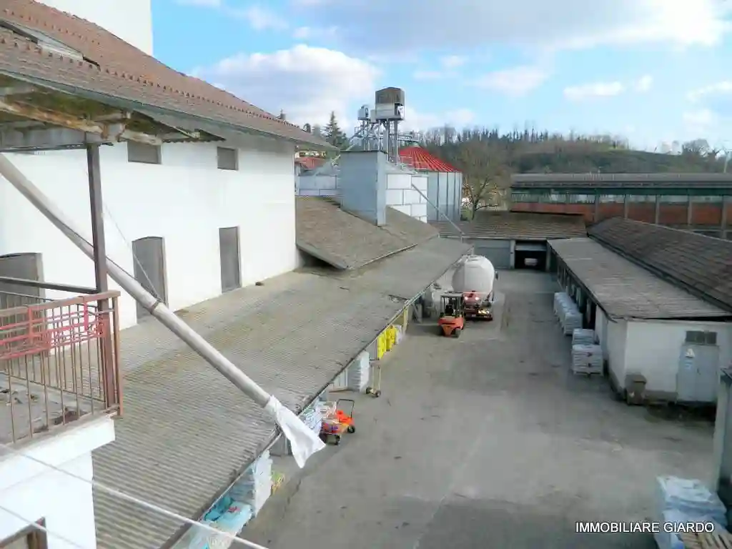 Palazzo - Edificio - foto 2