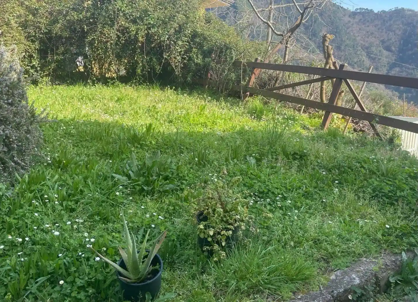 Terratetto unifamiliare 55 m², buono stato, Zona Collinare Cerreto, Sant'Eustachio, Montignoso - foto 3